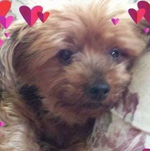 Meet your Posher, Marge